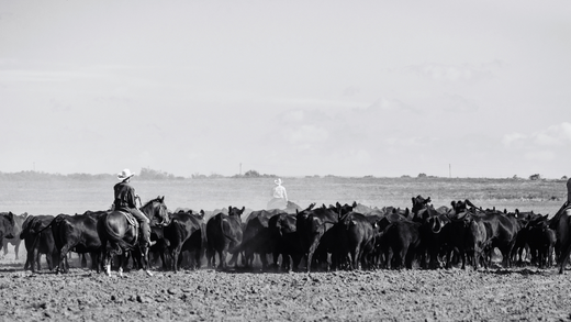 Texas Traditions: Family-Owned, Veteran-Operated, and Over 80 Years of History